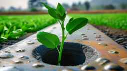 绿色革命，探索环保金属的潜力与挑战