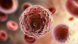 血小板减少症的症状有哪些-宠物与血小板减少症—一个不容忽视的医疗议题