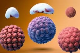 肥大细胞瘤图片-宠物肥大细胞瘤，了解、预防与治疗