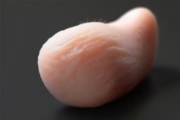 肛门腺清理是什么-揭秘肛门腺清理的重要性与方法