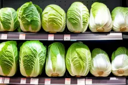 卷心菜选购攻略，超市与生鲜电商的比较
