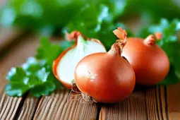 洋葱气味，揭秘时令鲜蔬的挑选秘诀